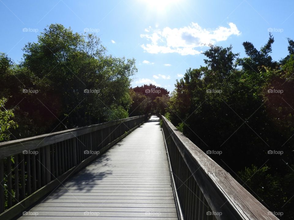 Where does your path take you?