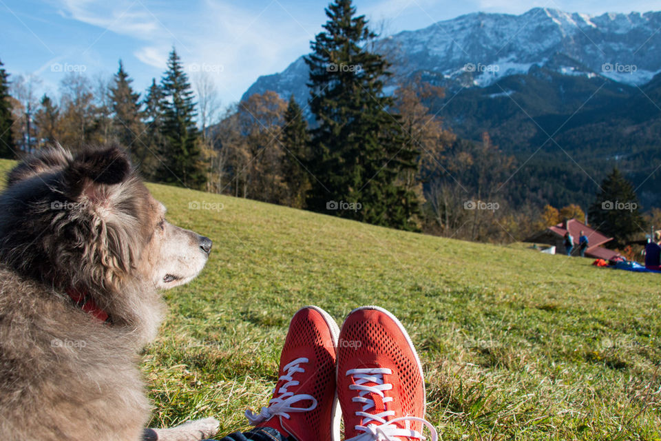 Low section of person with puppy on grass field