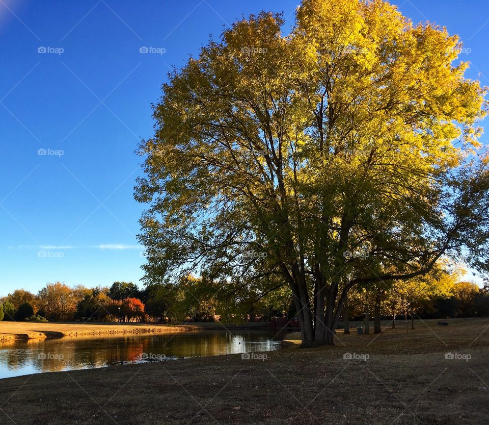 Autumn at Blount Cultural Park