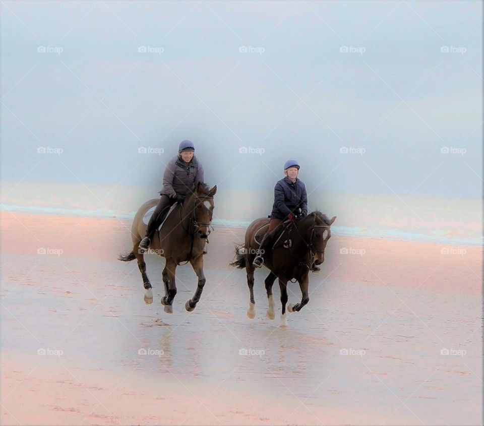Beach run with horses