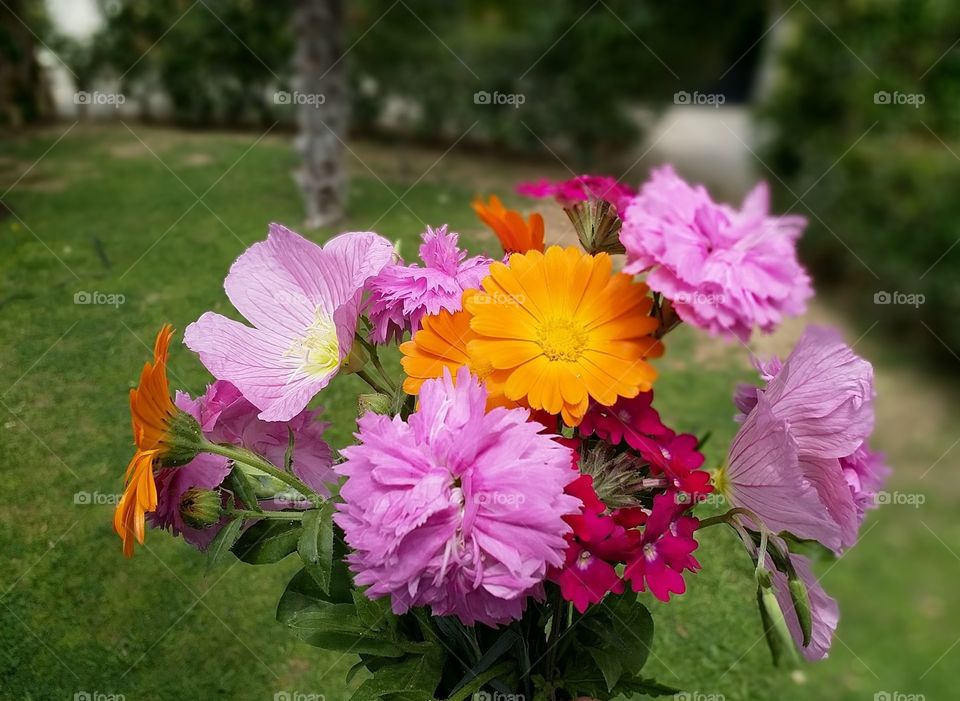 flower bouquet amazing