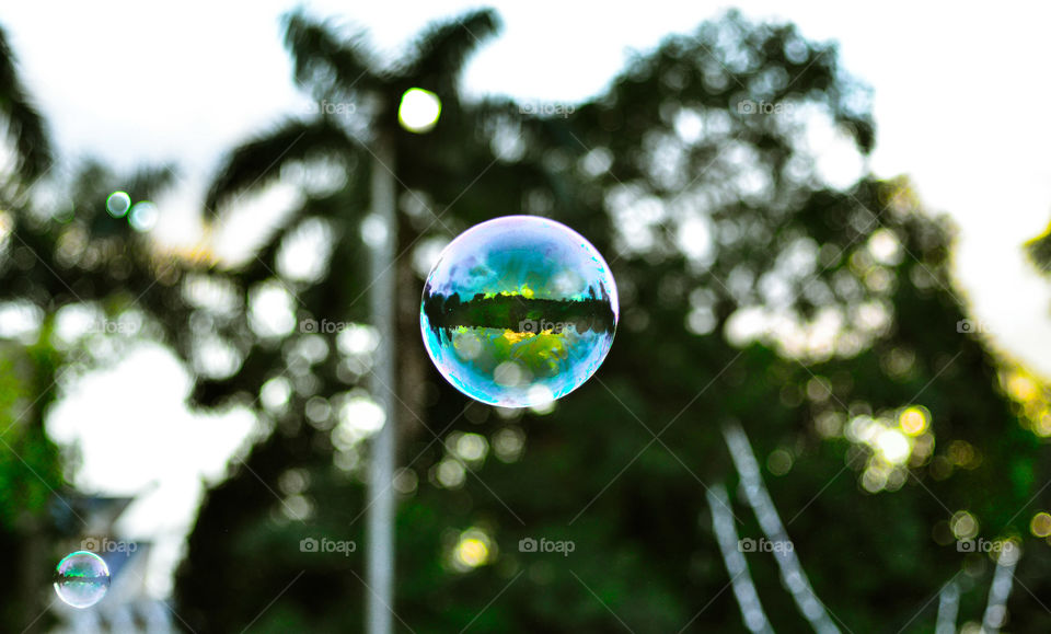 Reflection of trees in bubble