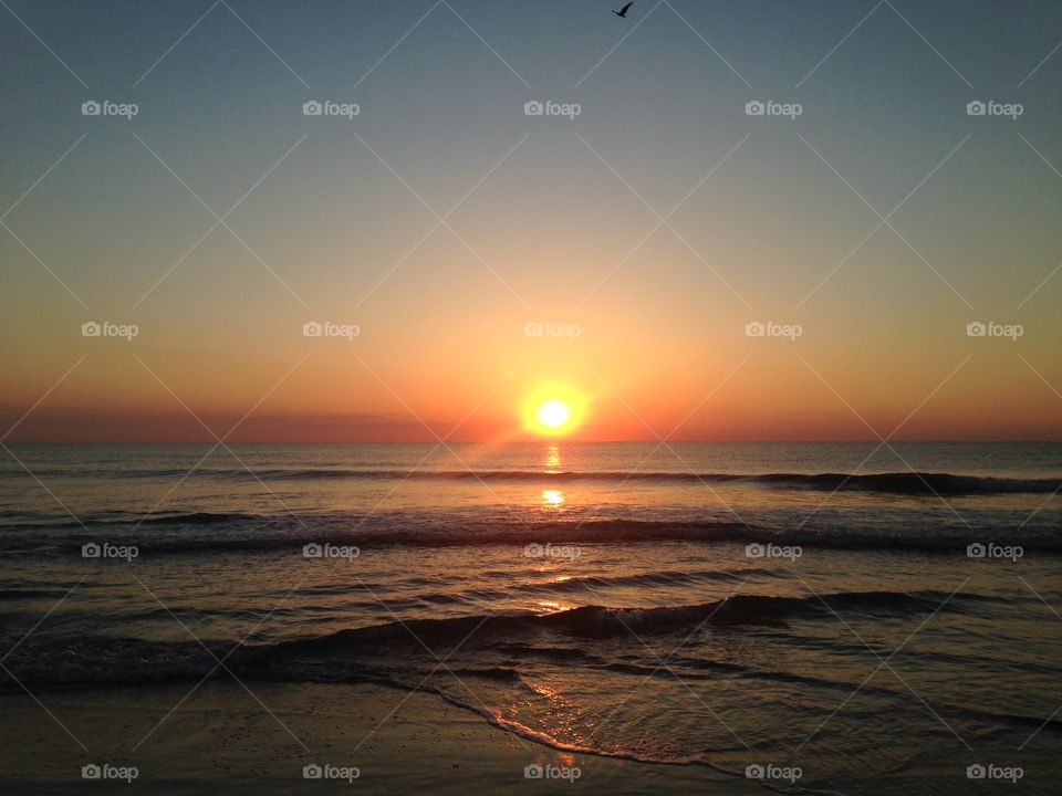 Sunrise. Capturing the sunrise on the beach at SandBridge, Virginia Beach 