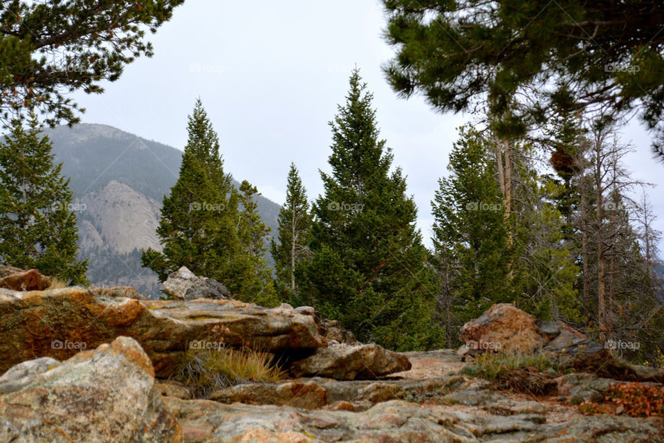 RMNP