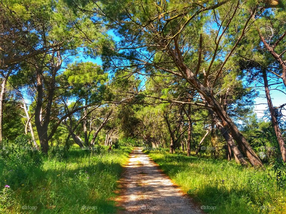 Walking on great morning!