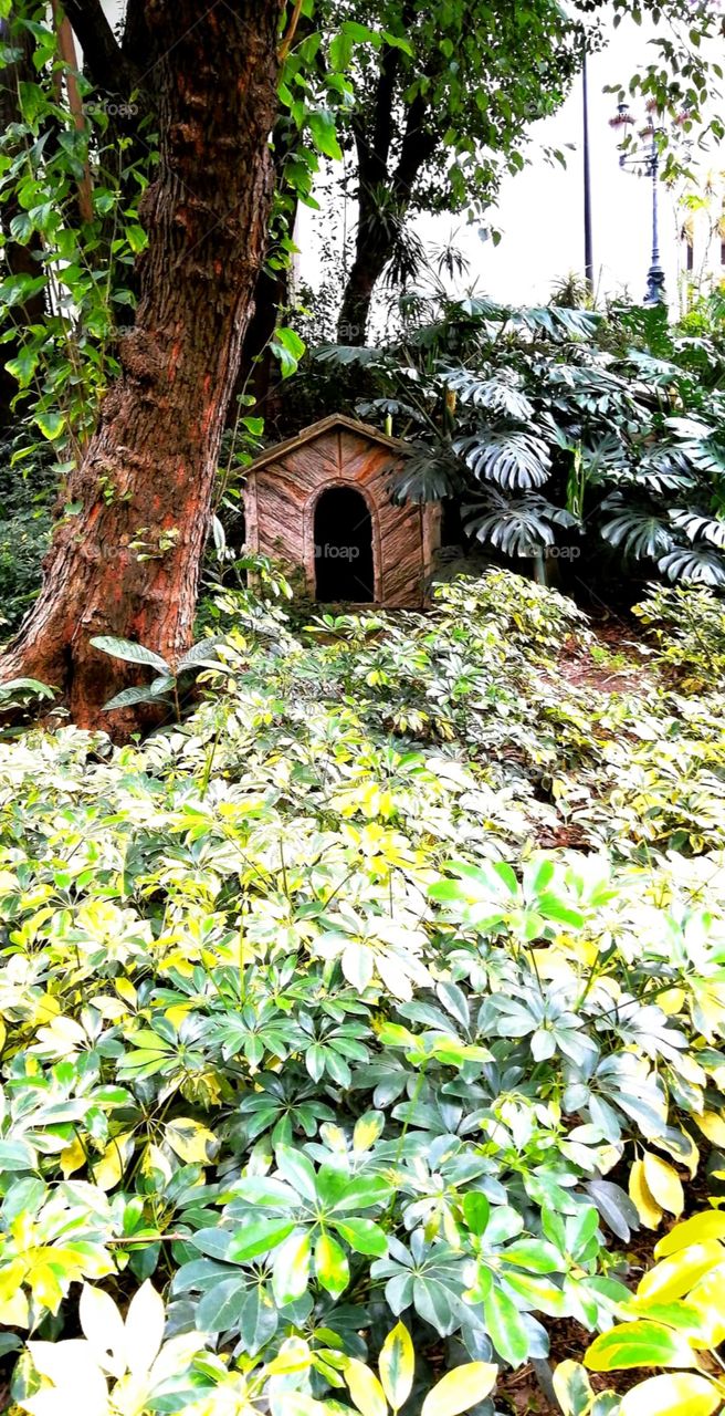 Casa en medio de la naturaleza.