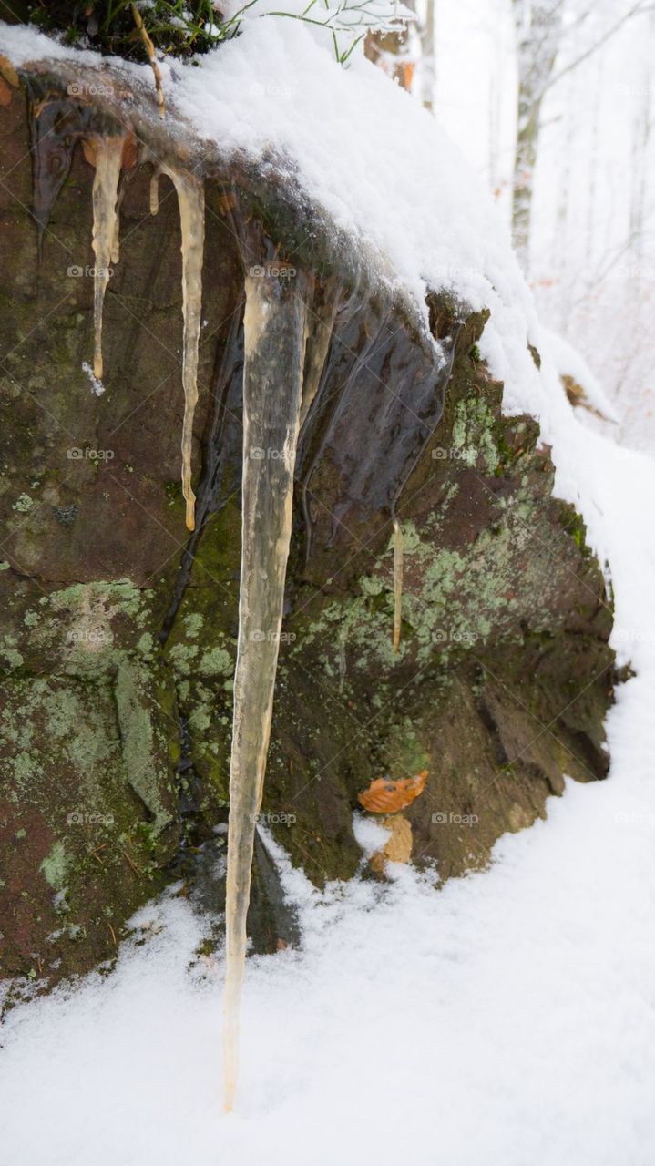 yellow icicle