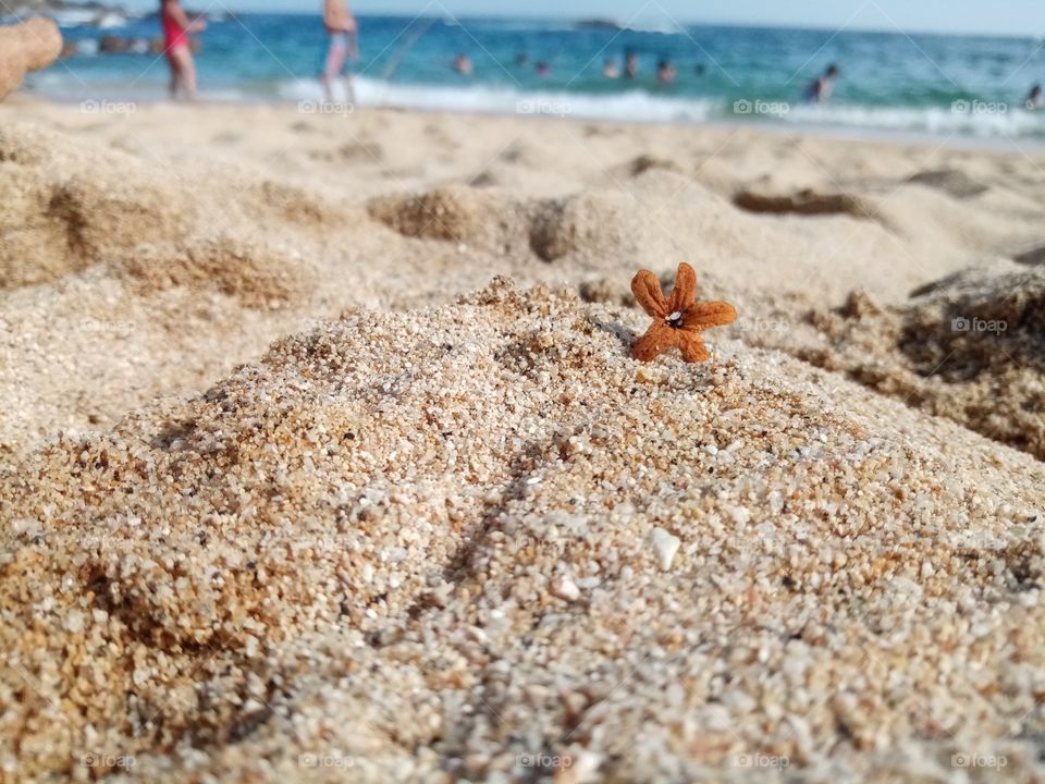 Hello, here one picture mexican beach, I love Travel