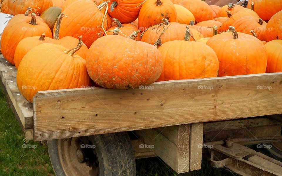 fall produce roadside stand