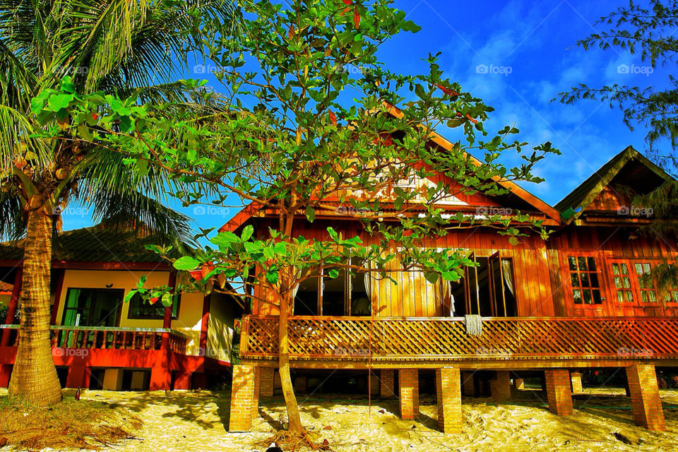 Koh tao bungalo