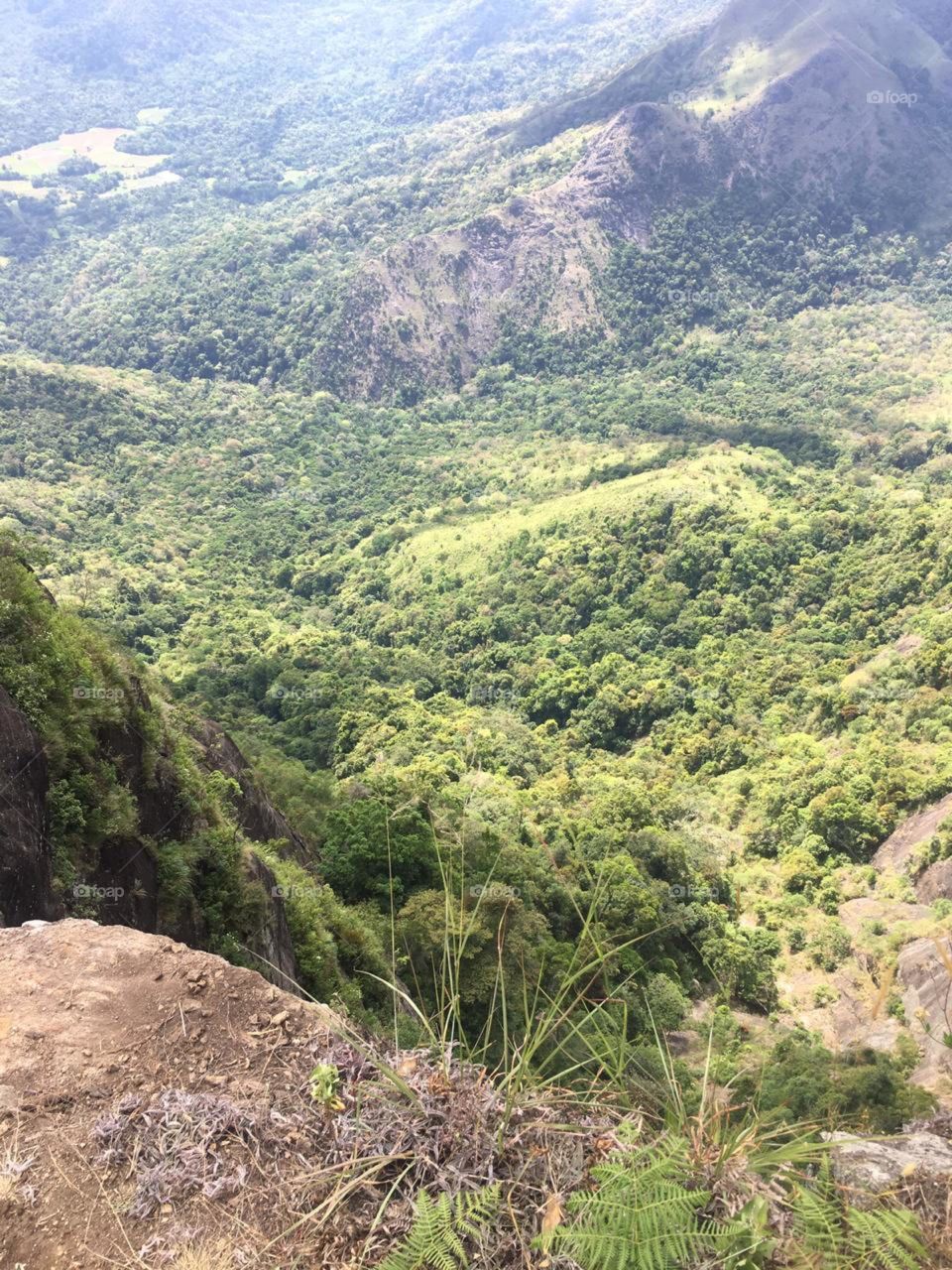 Nature create beauty