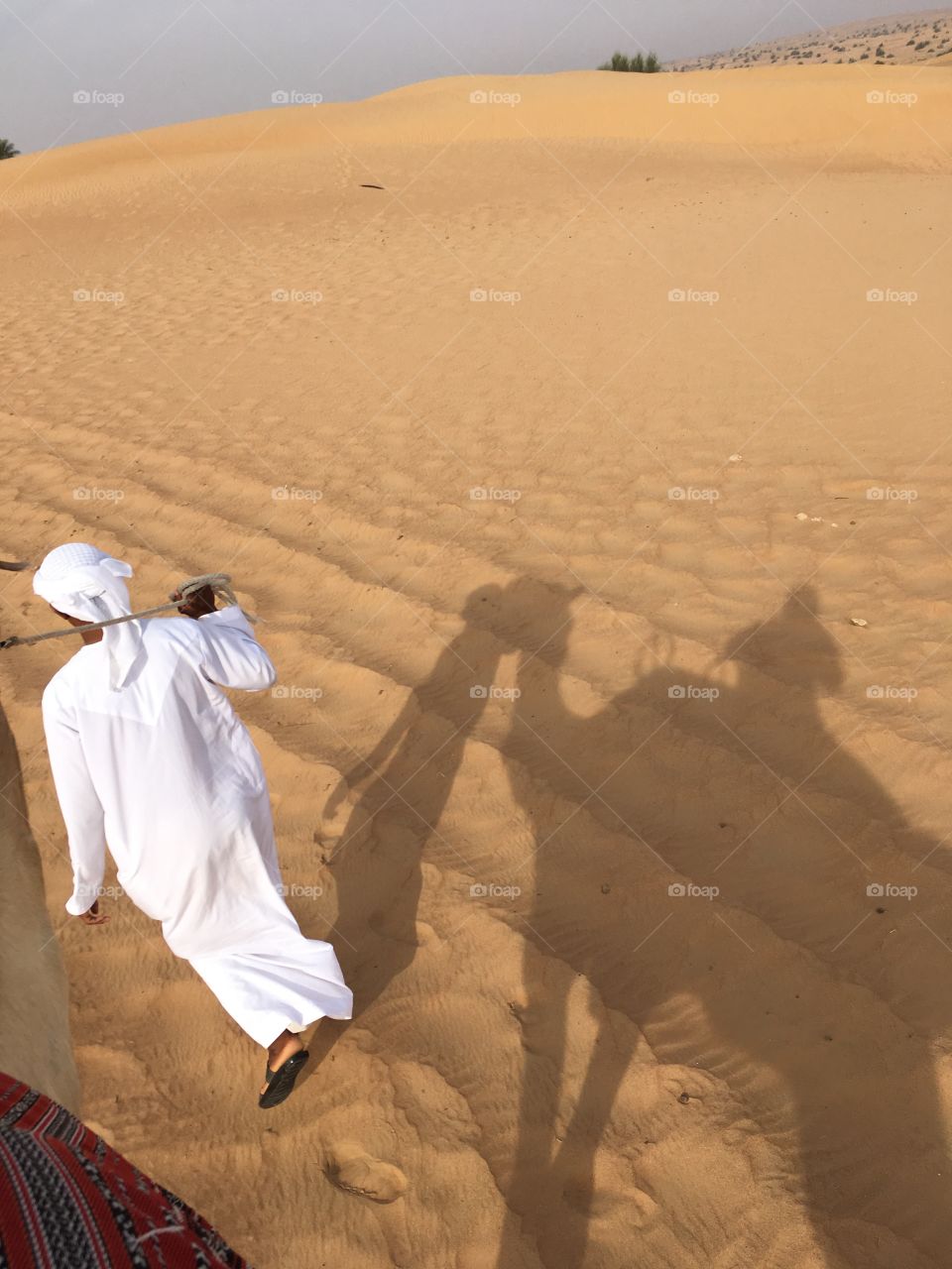 People, Desert, Adult, Sand, One
