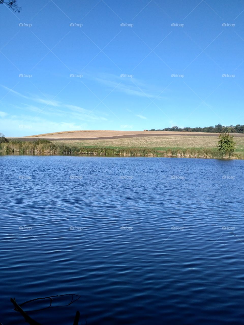 Autumn. blue.