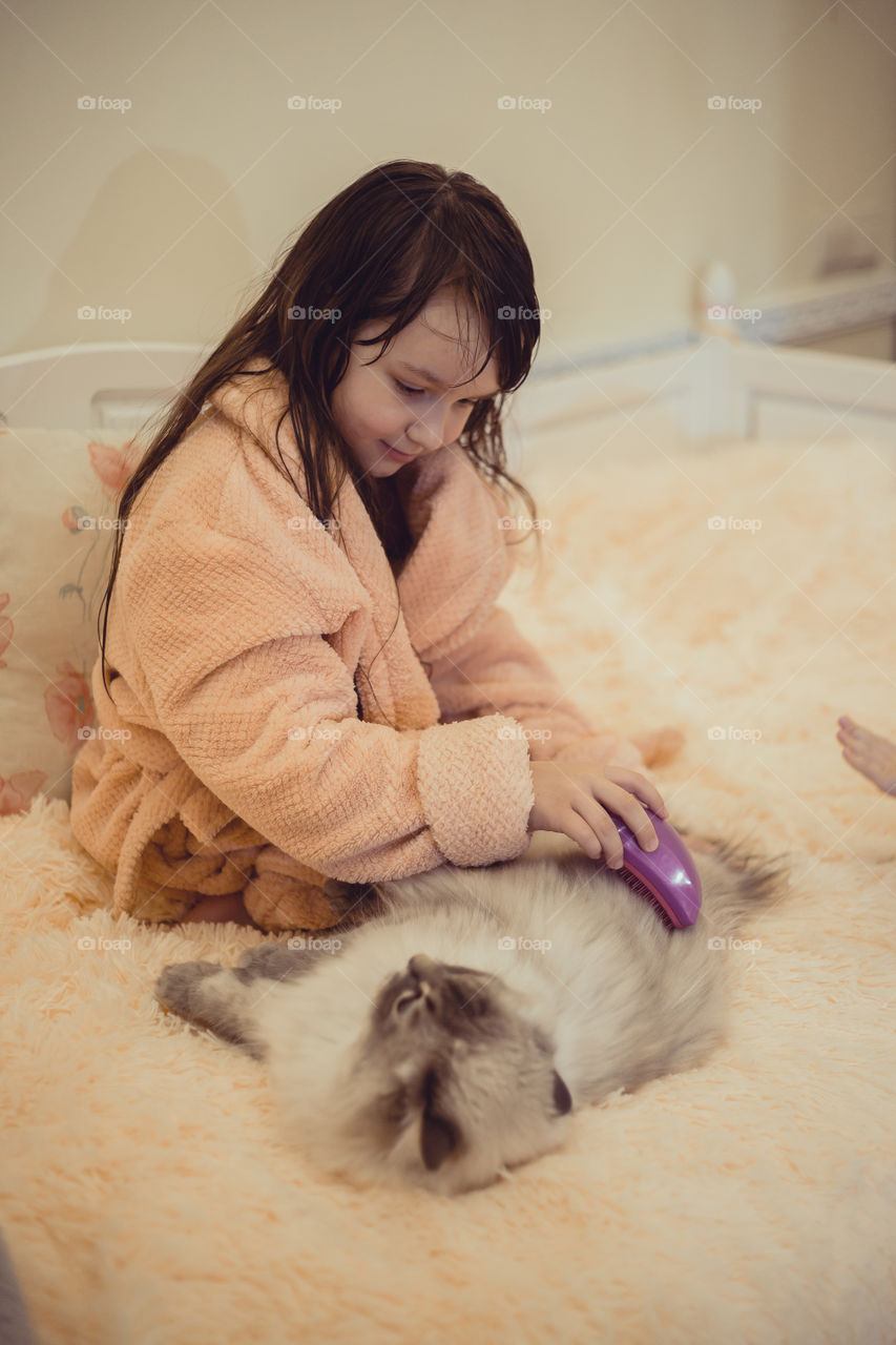 Little girl comb the cat