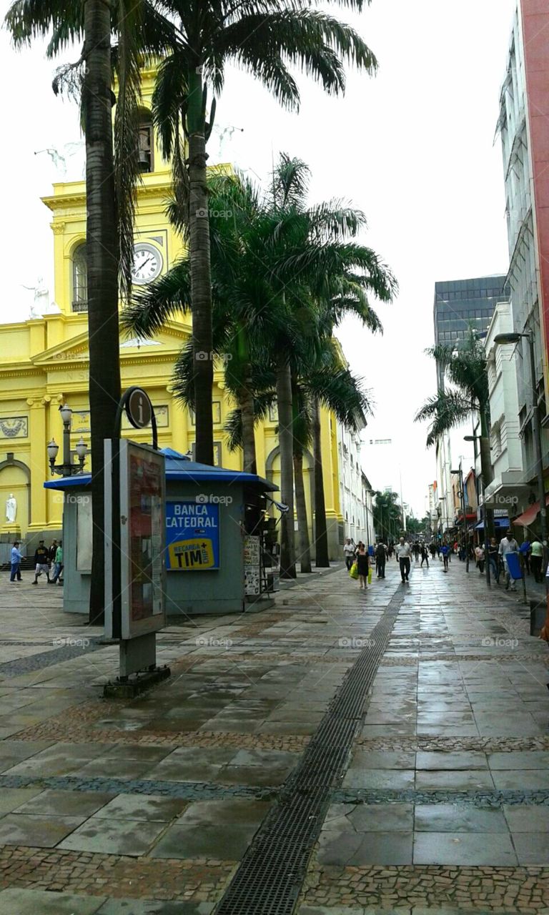 Monumentos, ruas e prédios  da cidade Campinas-SP Brasil.