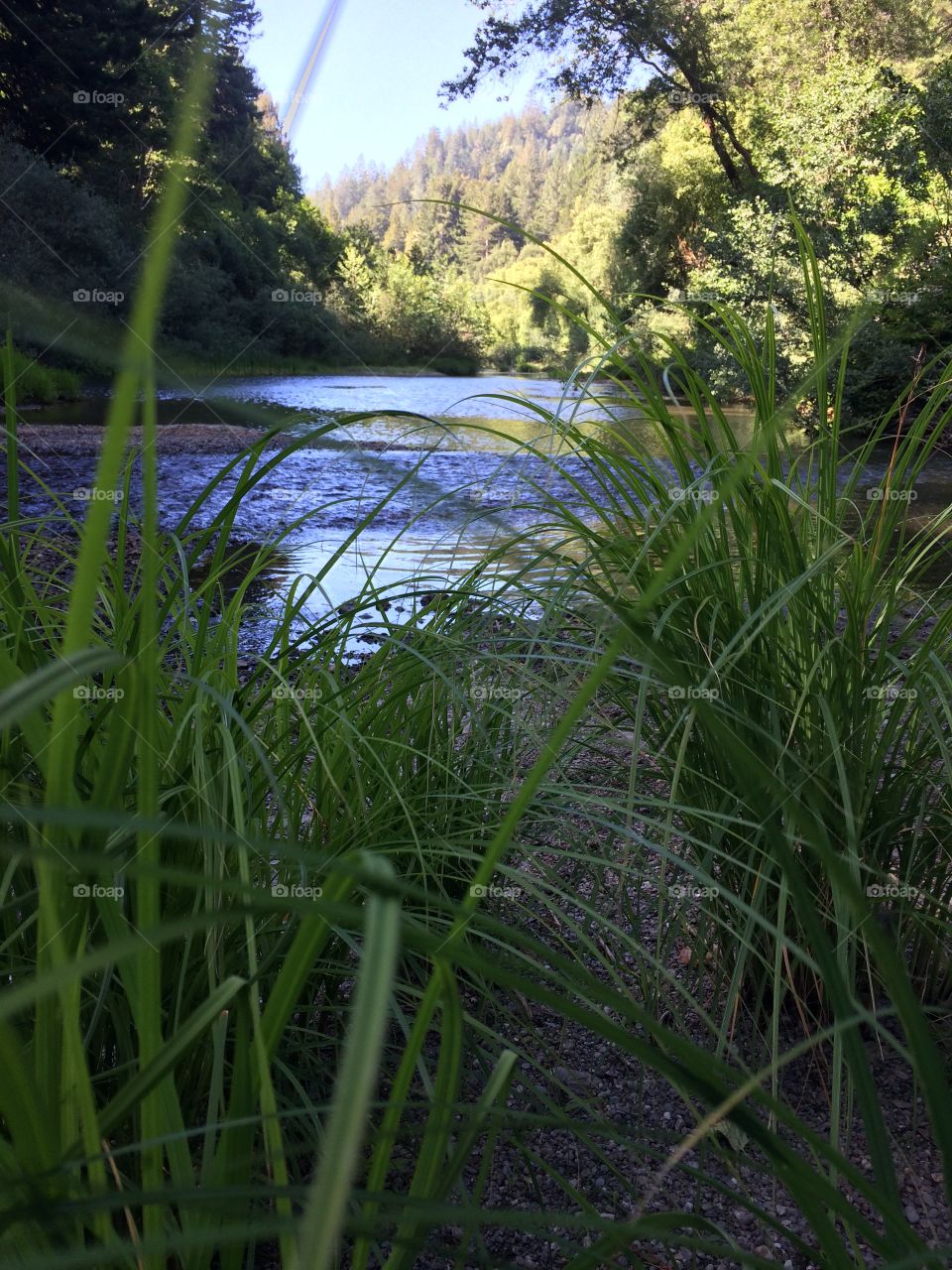 Day at the River 