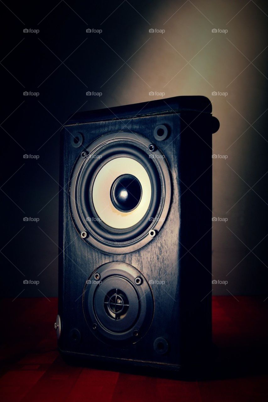 Speaker