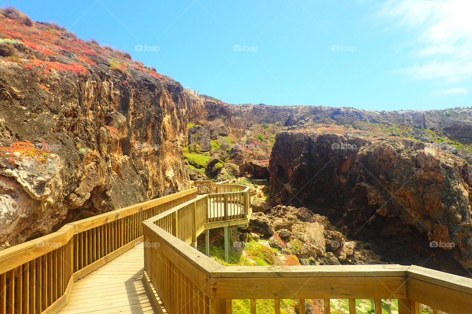 australia Kangaroo island
