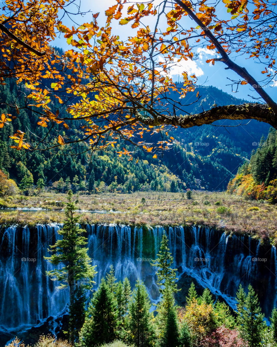 Magical JiuZhaiGou 
Nuorilang falls, Jiuzhaigou national park, Sichuan, China