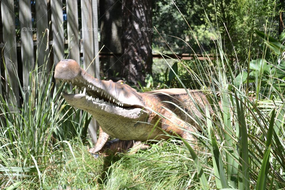 Crocodile dinosaur in natural surroundings