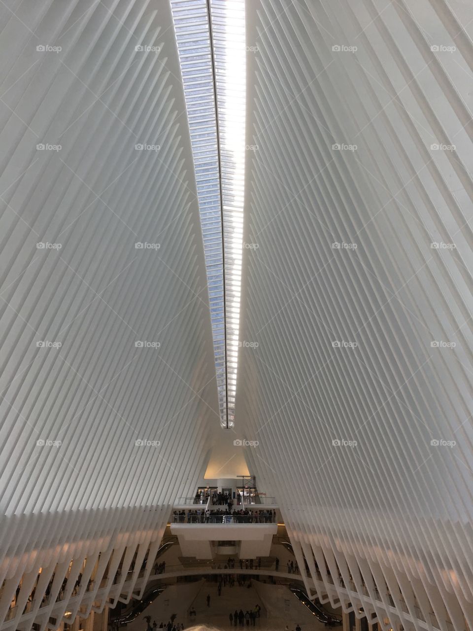 Stunning view of the World Trade Center transit hub in New York City