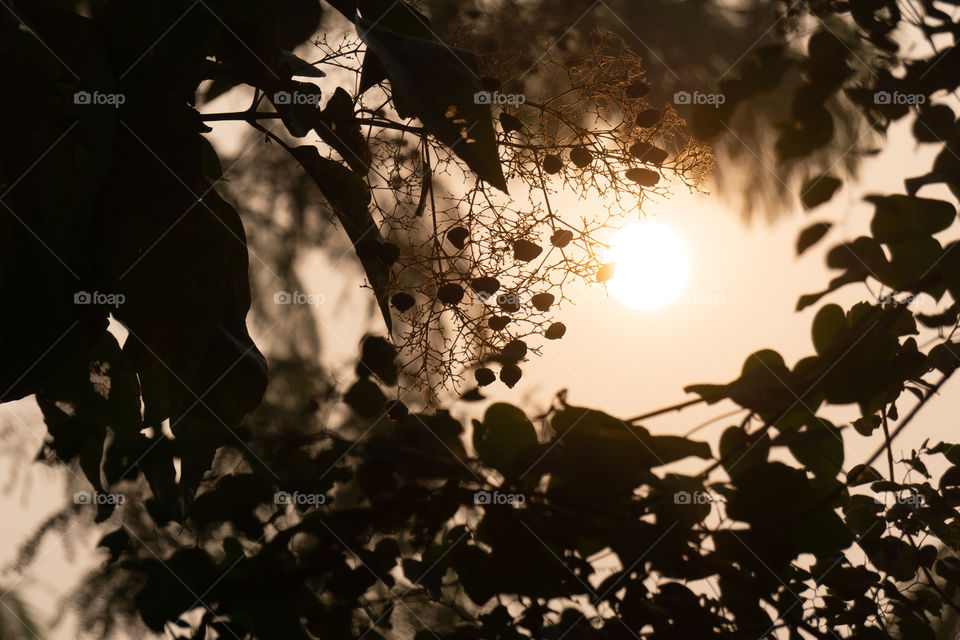 Nature is so beautifull capture it because every moment nature is changed