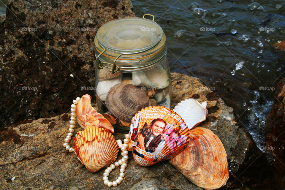 Summer Collection ( Series )