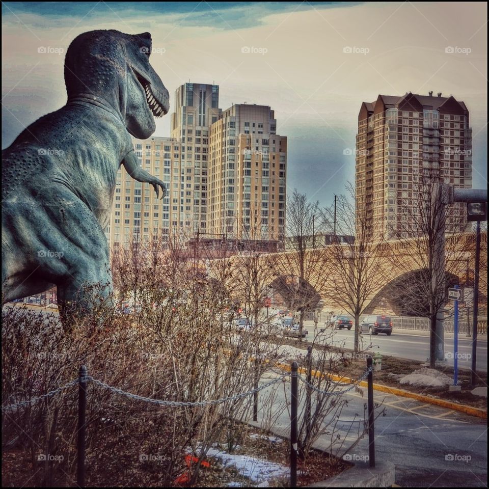 Boston Museum of Science