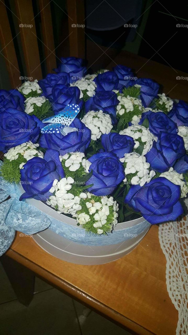 Blue Roses are the rarest beauty