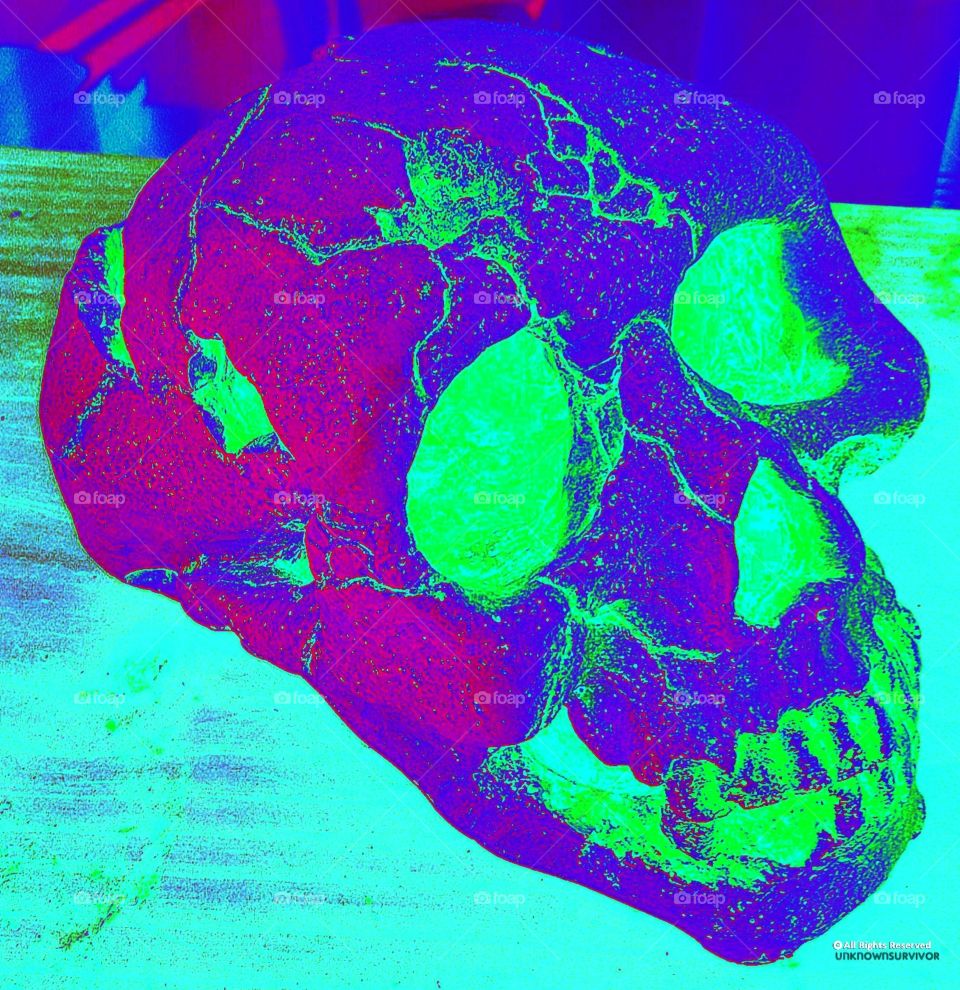 gamma skull