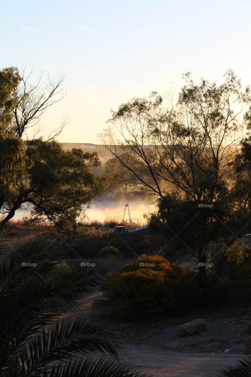 A beautiful morning mist along the murray river in country Australia