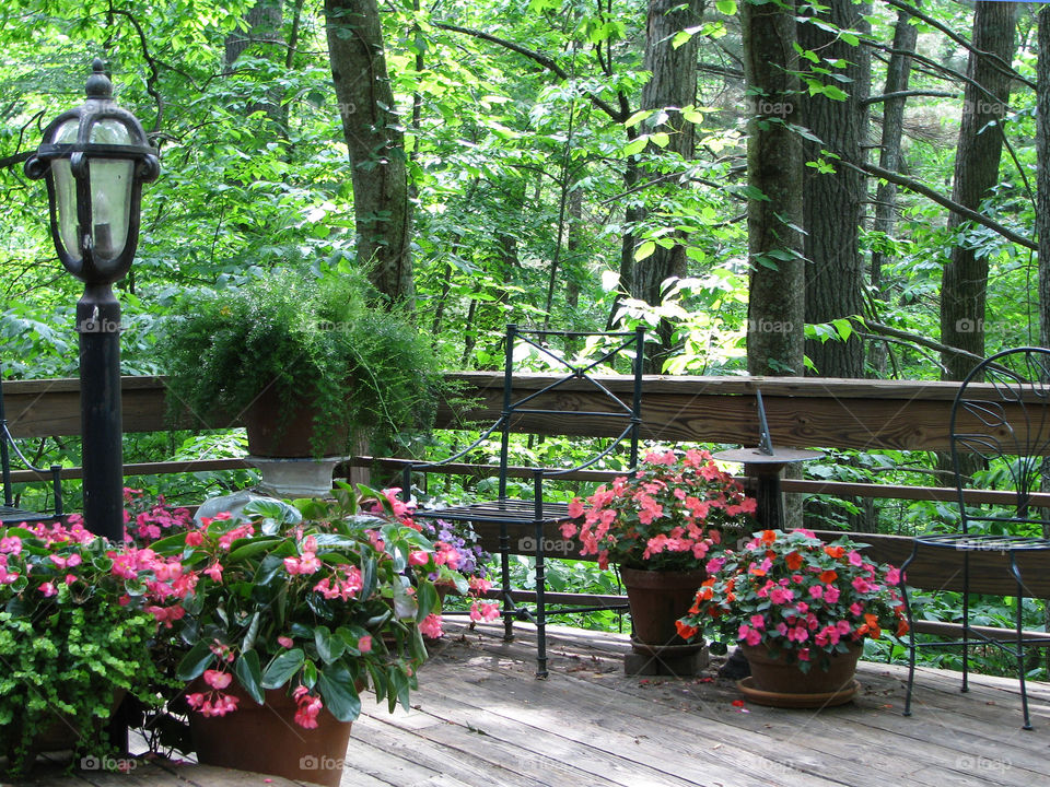 Flowers on the deck