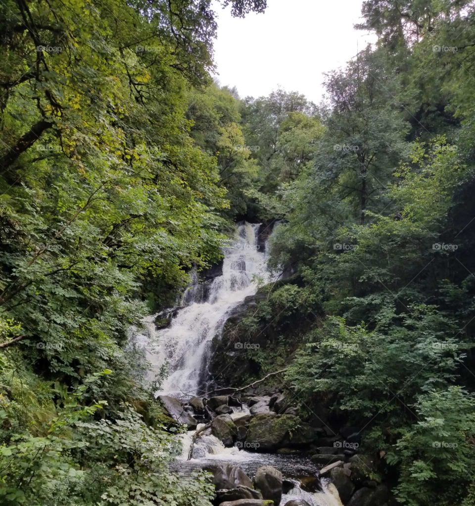 Beautiful waterfall sandwiched between green forrests, found on a road trip in a small town of Ireland.
