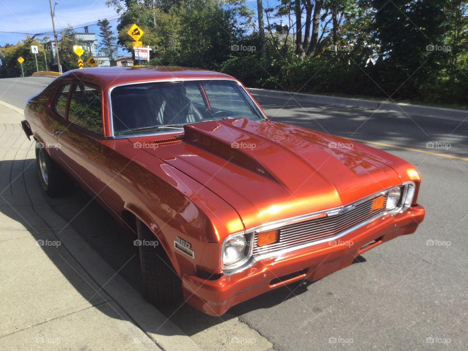 Old Nova Out for a Ride