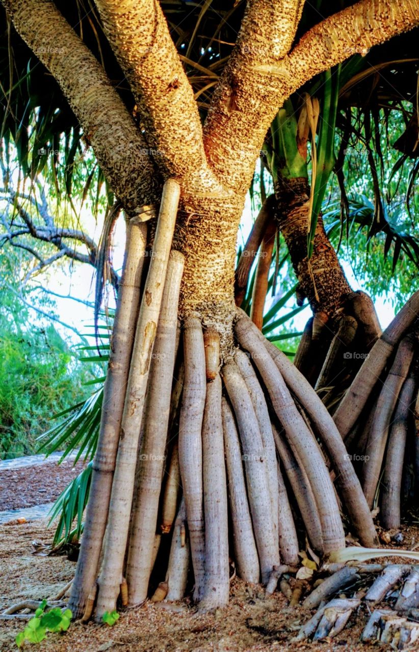 Perfect imperfections