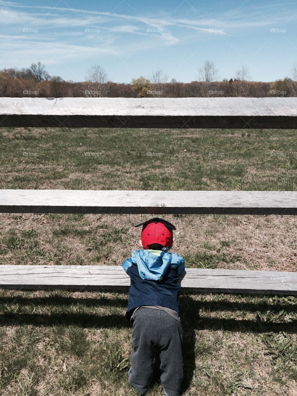 Vast world Mickey . Little boy admires horses from afar