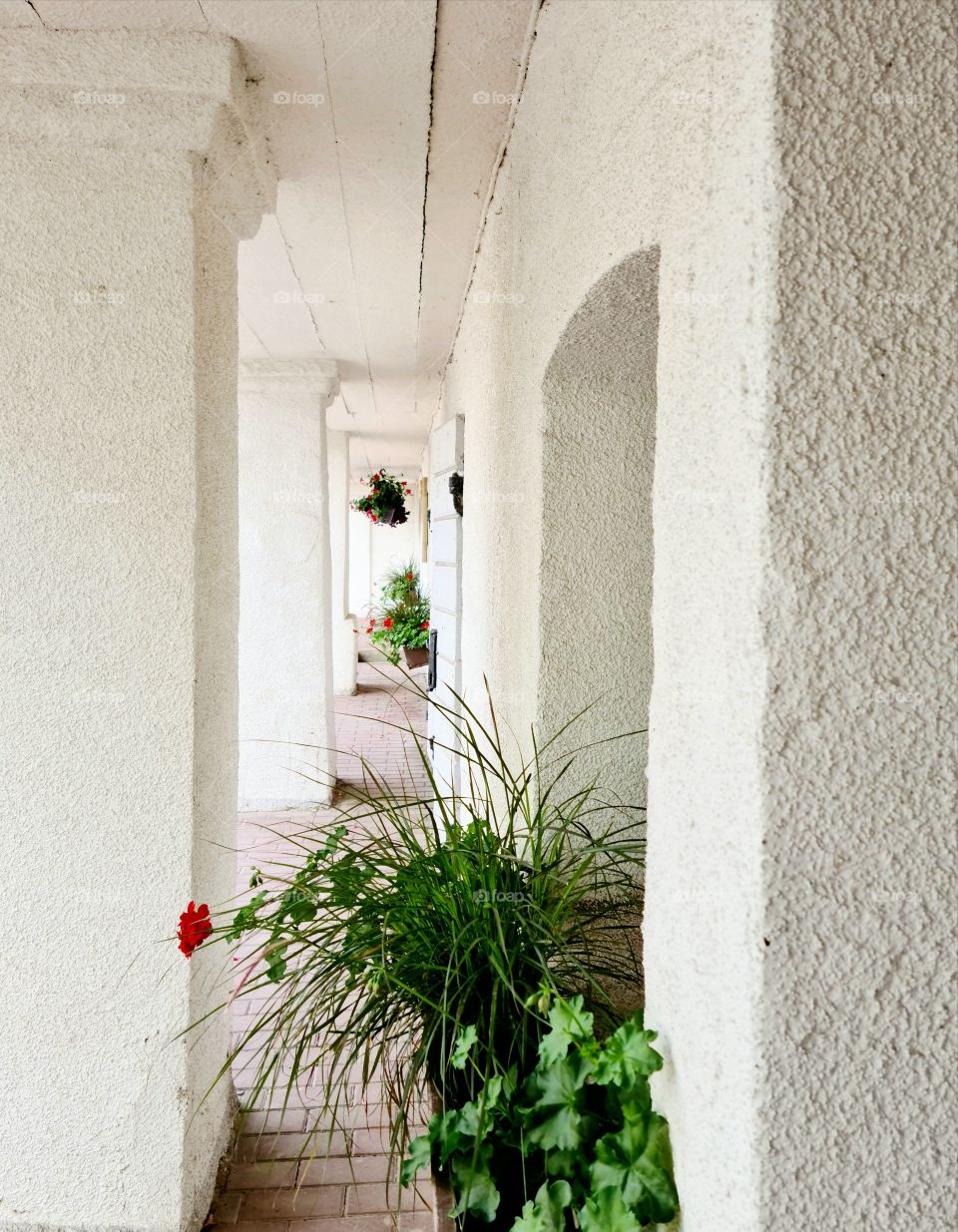 idyllic cityscape with greenery in Kandava city, Latvia, Europe
