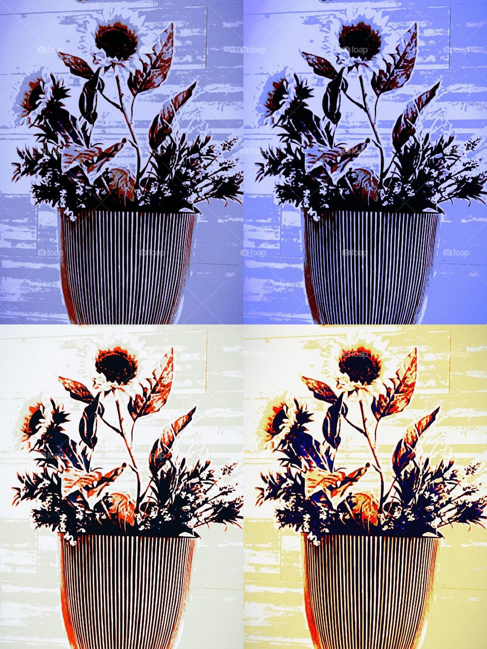 Recordando un momento en diferentes fragmentos