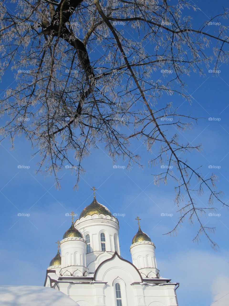 Orthodox church in Russia, Voronezh city, winter, frost, cold, sky, domes, snow on trees
