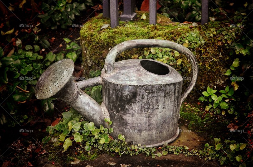 Garden. Watering can