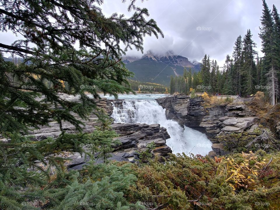 Athabasca Falls Vista at Jasper National Park