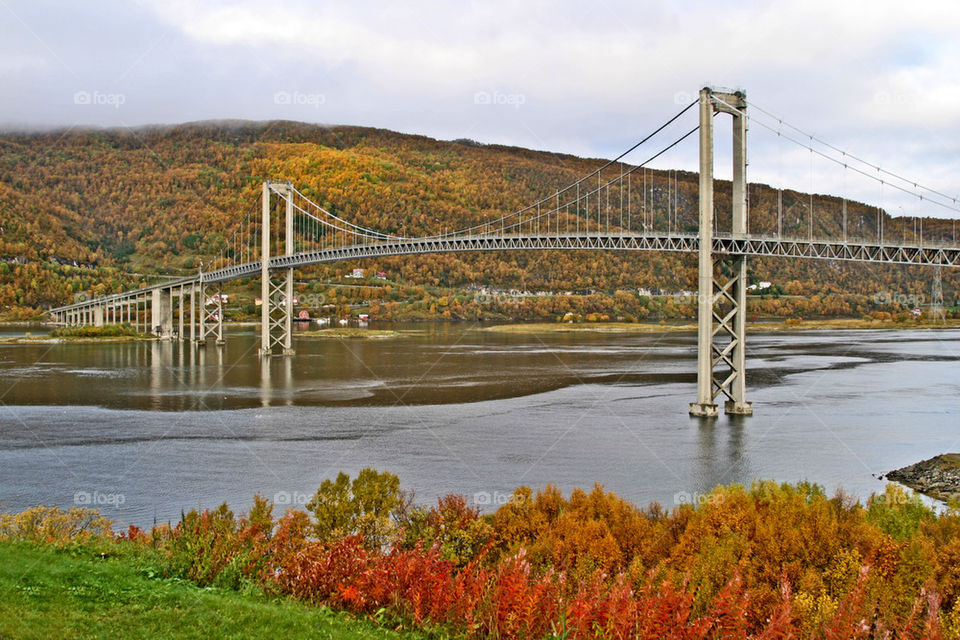 Bridge in autumn colors.