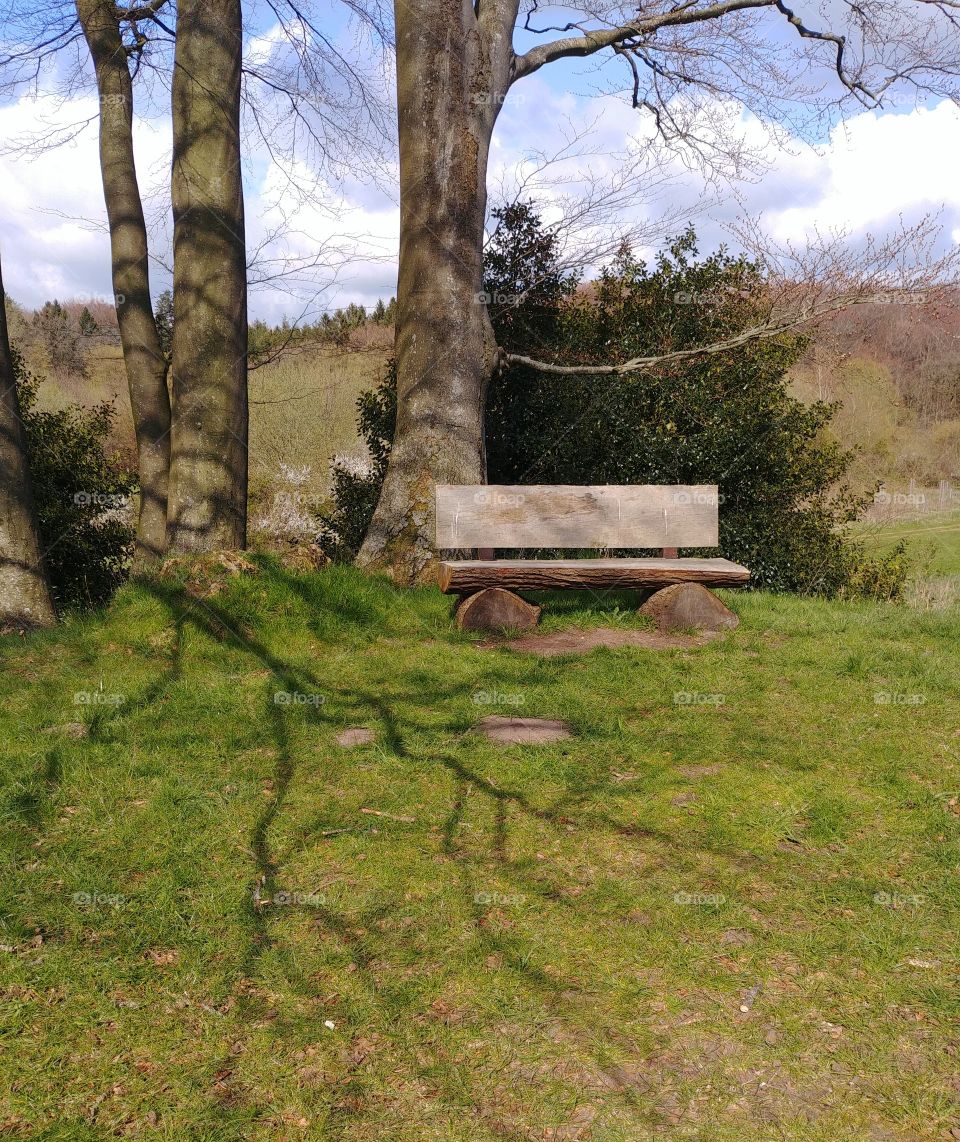 bank Wiese ruhe Frieden Baum