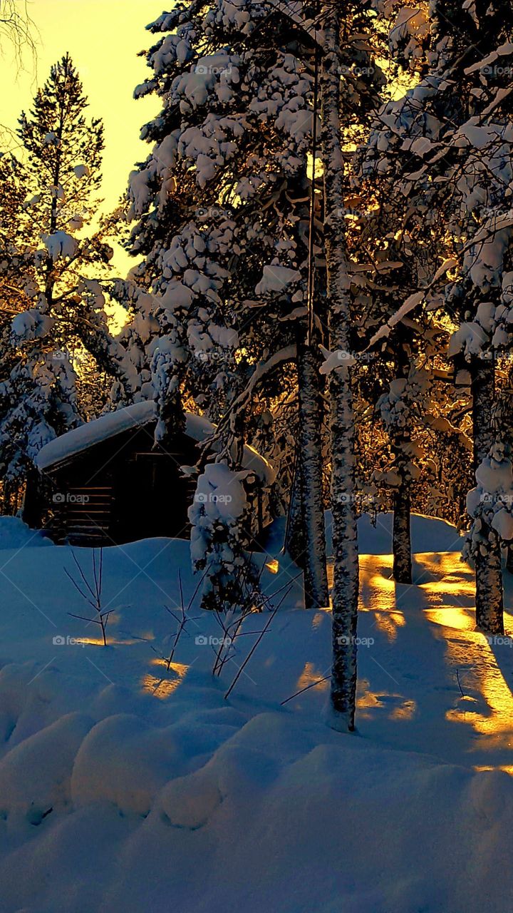 Beautiful day in winterland