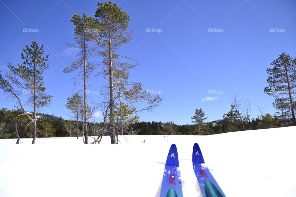 Skiing