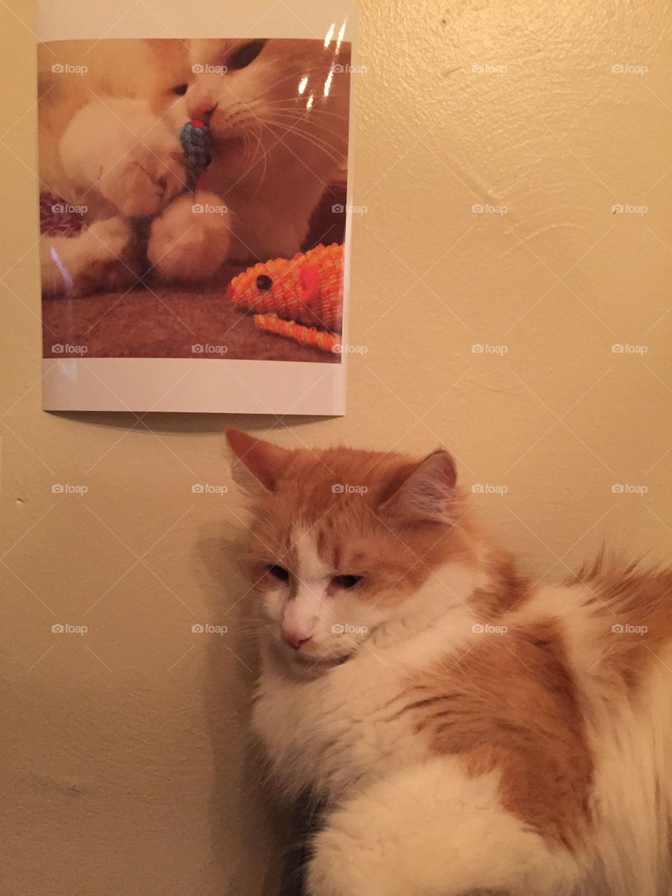 Twos better than one....