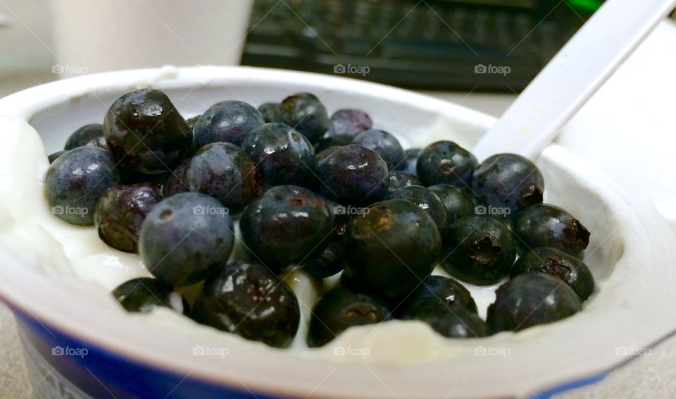 Blueberry yogurt 