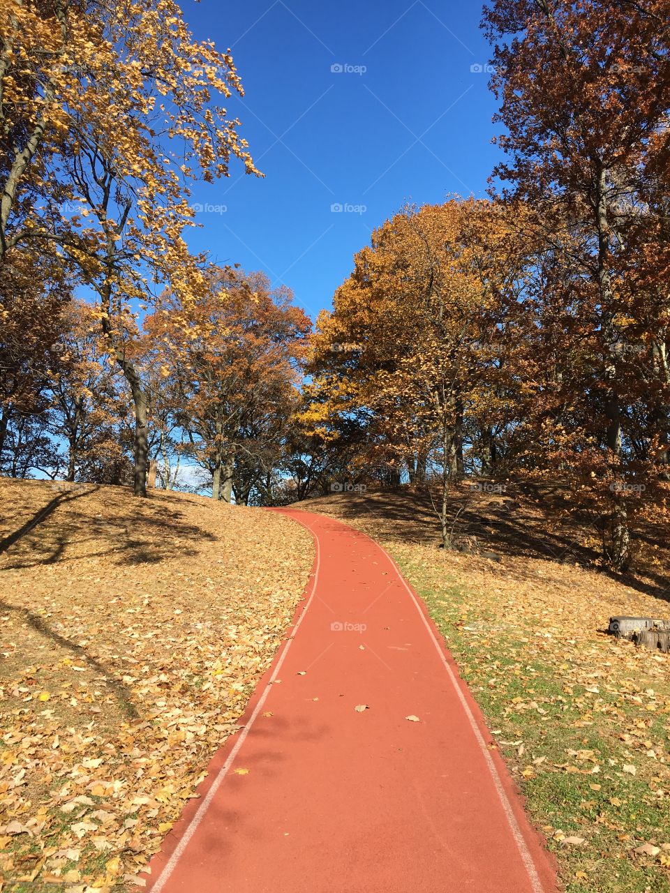 Jogging track in park