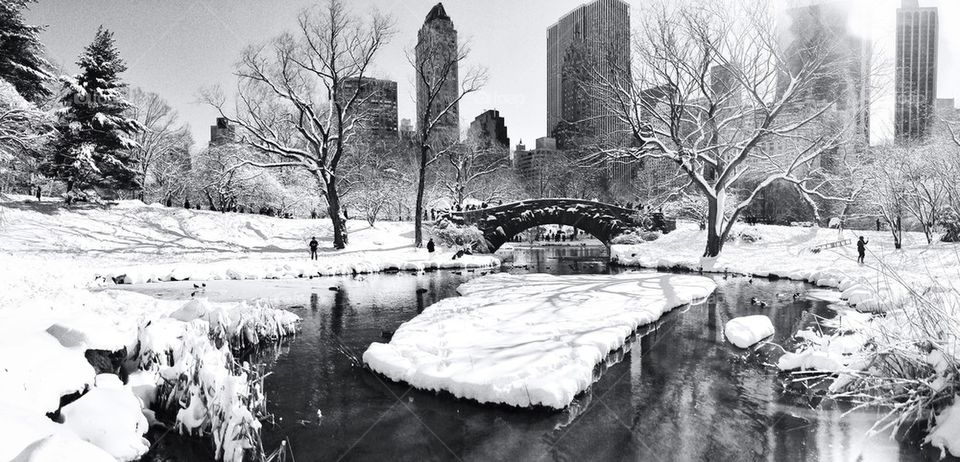 New York Central Park in the wintertime with snow