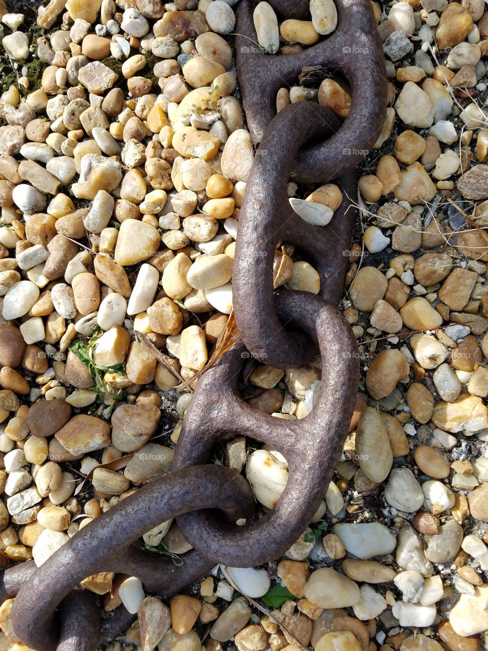Chain and anchor